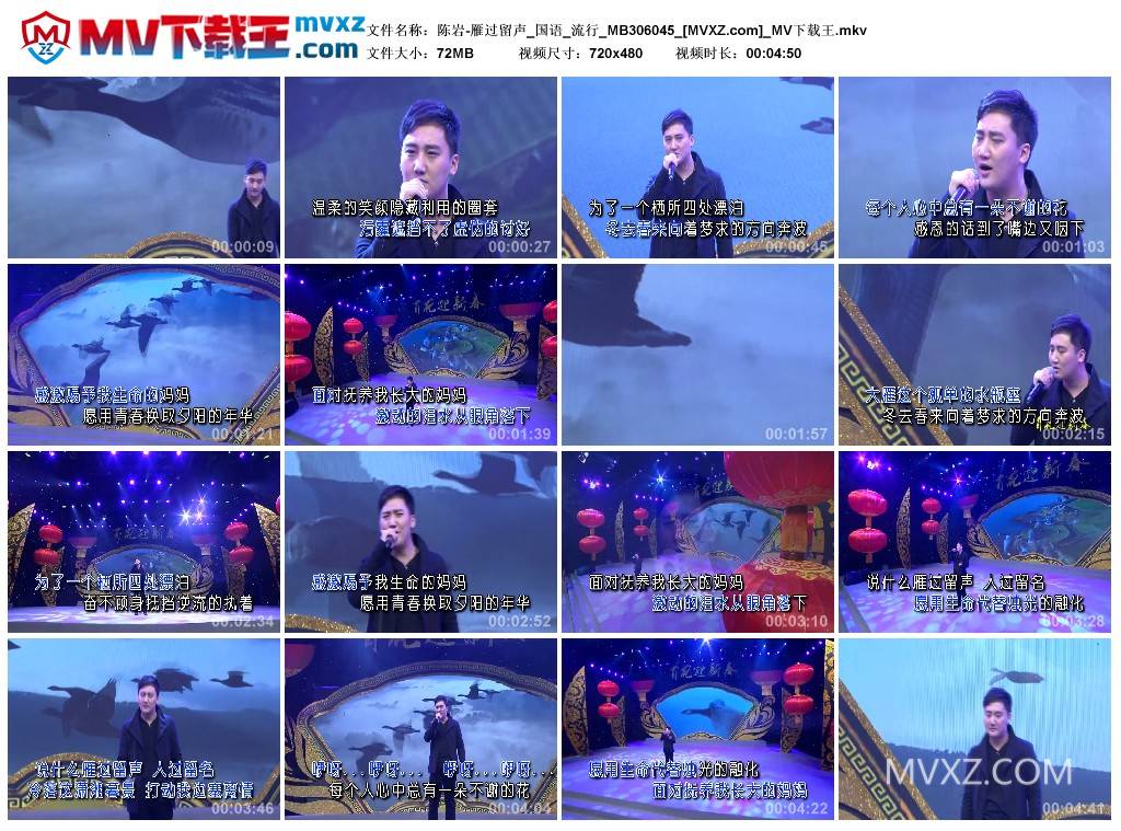 陈岩-雁过留声_国语_流行_MB306045